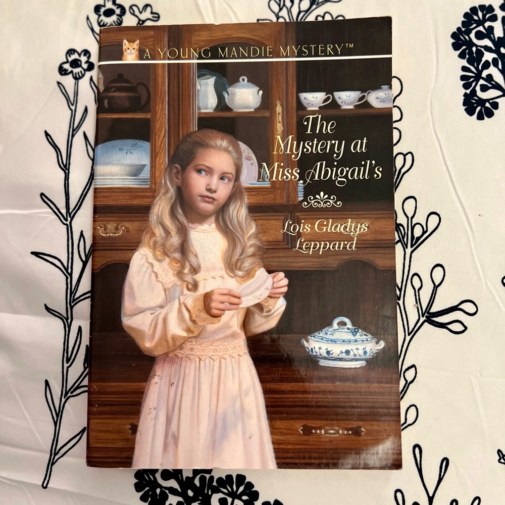 The Mystery at Miss Abigail's Book